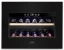 Caso WineDeluxe E 18 Wine Cooler – Caso Design